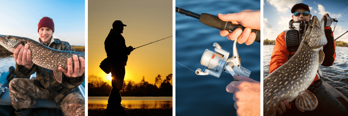 Guia para Elegir la caña de carpfishing perfecta