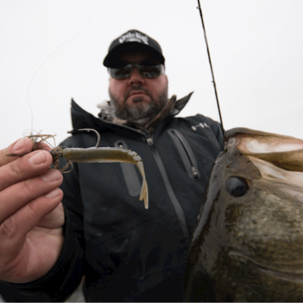 STRIKE KING BLADE MINNOW 4.5'' GREEN PUMPKIN PEARL BELLY STRIKE-KING-BLADE-MINNOW-4.5''-PEARL