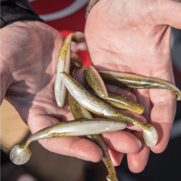 STRIKE KING KVD PERFECT PLASTICS SWIM'N 5'' PEARL STRIKE-KING-KVD-PERFECT-PLASTICS-SWIM'N-5''