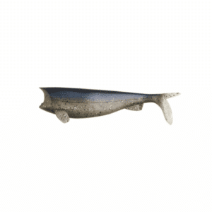 HART-ABSOLUTE-SOFT-SHAD-100MM-COLOR-56