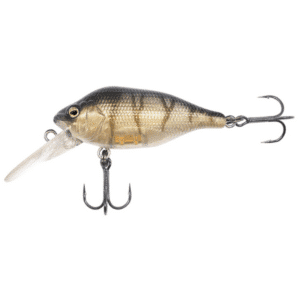 FOX-RAGE-FUNK-BUG-DR-50MM-8G-UV-STRIPED-SHINER