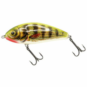 SALMO-FATSO-14-HOLOGRAPHIC-PERCH