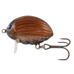 SALMO-LIL-BUG-2