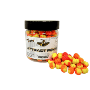 FLUO COLOR WAFTERS
