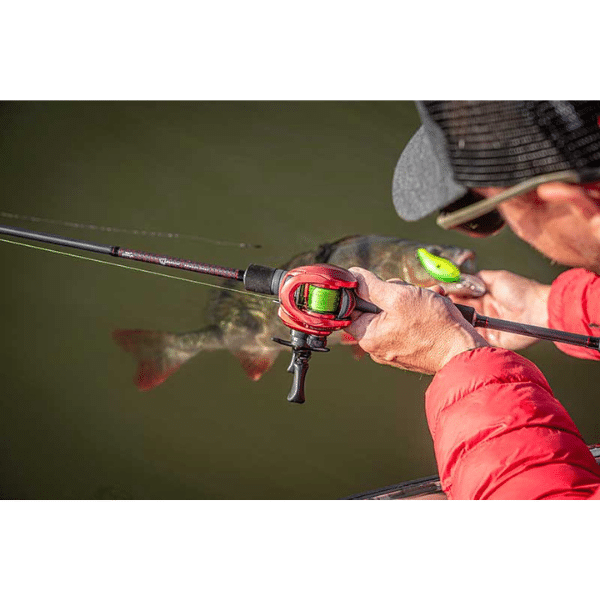 FOX RAGE CAÑA WARRIOR ZANDER CAST 10-40G 210CM 1+1 FOX RAGE CAÑA WARRIOR ZANDER CAST 10-40G 210CM 1+1 - Imagen 11