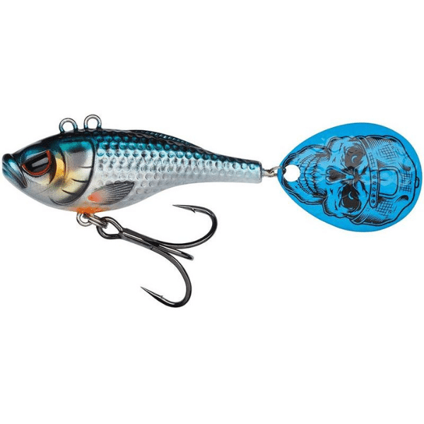 MADCAT-SPIN-TAIL-ROACH