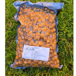 Quality Seeds Chufa XL 1kg para spod mix, cebado y carpfishing en Navarra