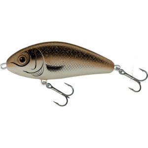 Salmo Fatso 10 Floating 10 cm 48 g