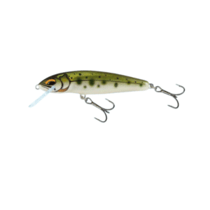Salmo Minnow 6 Sinking 6 cm 6 g